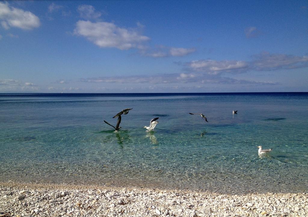 Appartamento Ponticello By Helloelba Portoferraio Exteriér fotografie